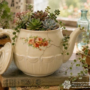 May include: A cream-colored ceramic teapot planter featuring a delicate floral rose pattern and a prominent crack across the body. The teapot is filled with a variety of green and purple succulents, with trailing vines cascading over the spout.