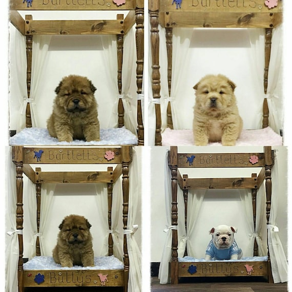 dog 4 poster bed