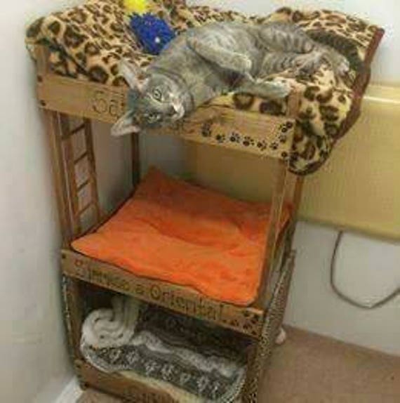 tall cat bed