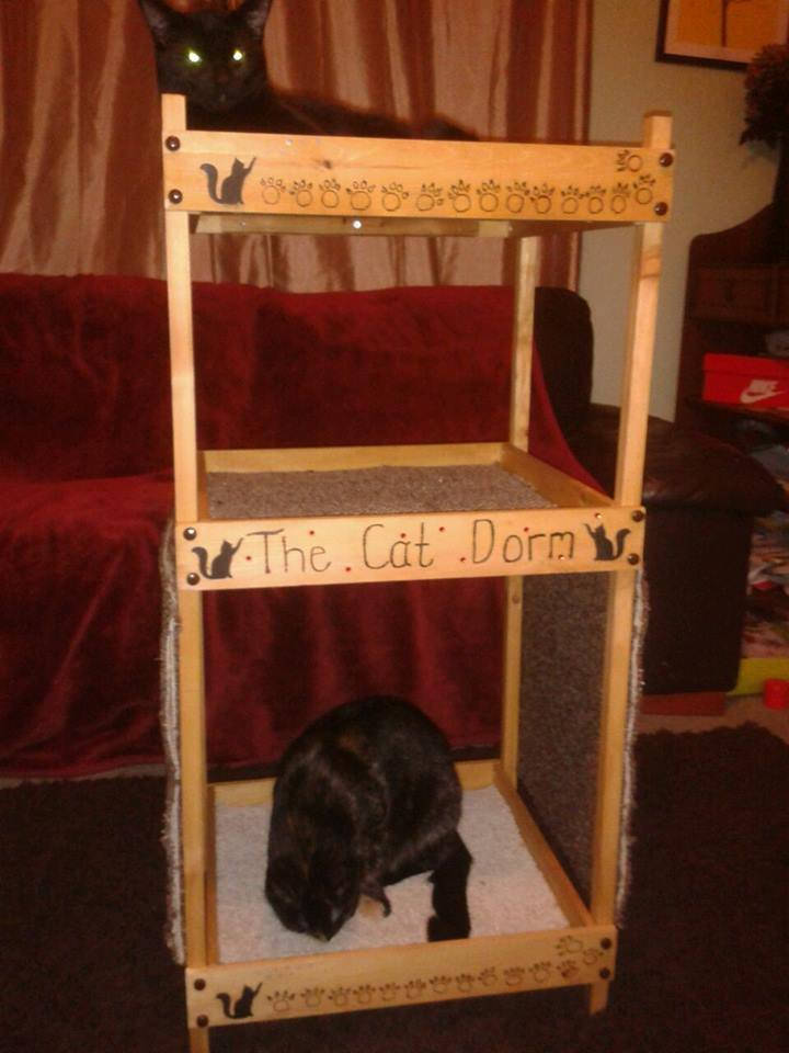 Cat Bunk Bed Super Bunk for 6 Cats Etsy UK