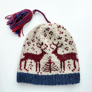 DeeR Hat Knitting PaTTeRN ReiNDeeR Fair Isle ToQUe PDF PATTeRN Stranded Colorwork Winter Hat PaTTeRN Kid Teen Adult Mad About Color PDF File