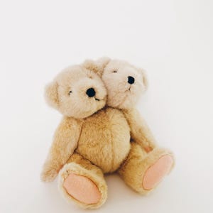 May include: A plush toy featuring two conjoined teddy bear heads on a single body. The bear is covered in light tan, fuzzy fur with two small black eyes and noses on each face. The feet have light pink fabric pads on the soles of the paws.