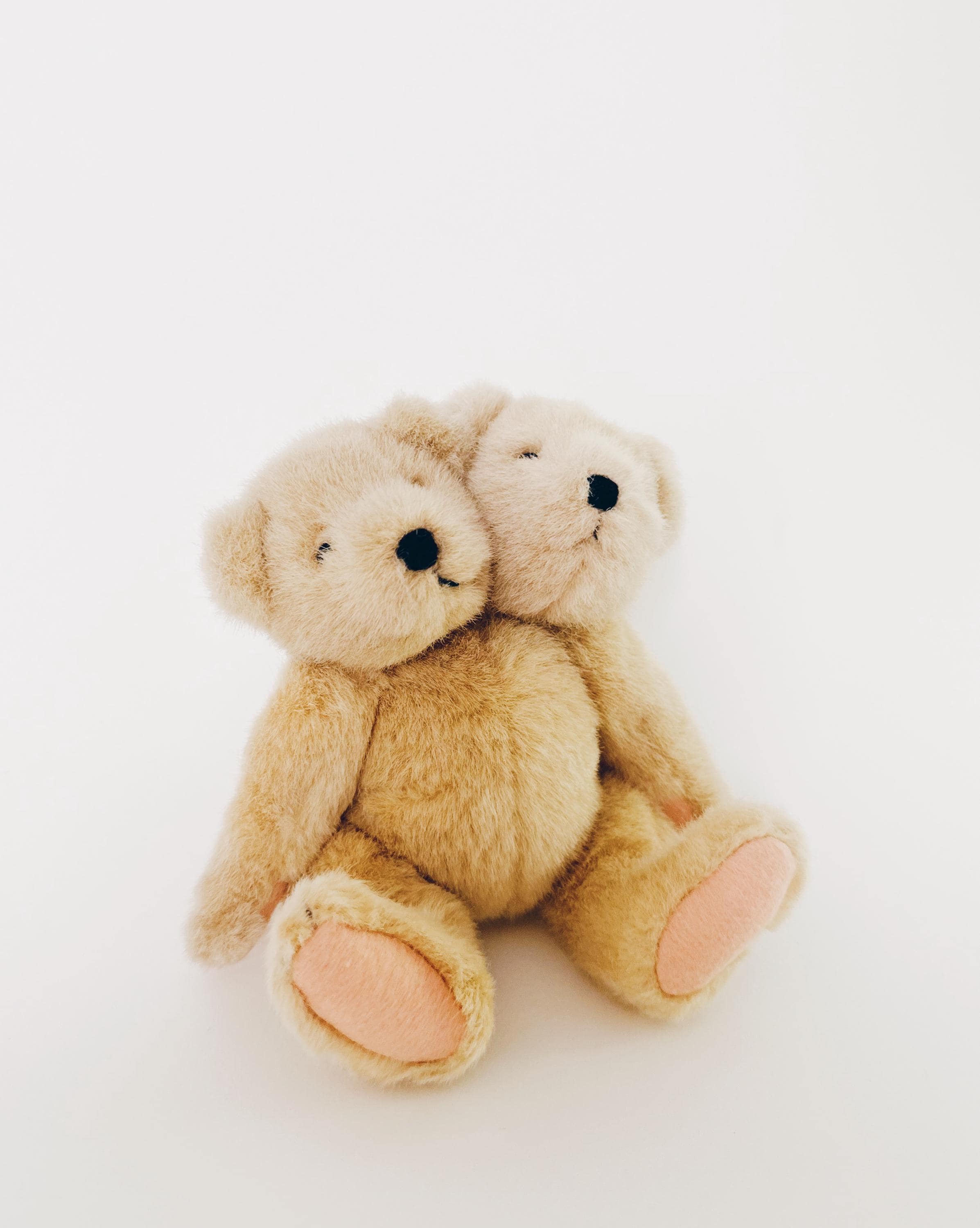 Vampire teddy - Etsy 日本