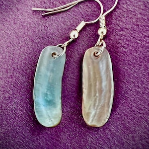 Native Indigenous made shell earrings