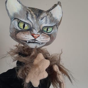 Hand puppet cat
