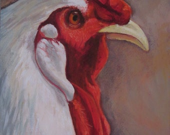 Portrait of a Rooster