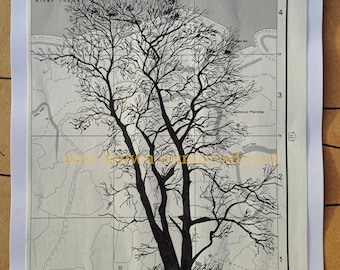 Original Ink Drawing Painting of Riverside Alder Tree on Vintage Map 1