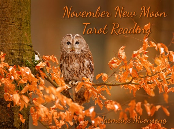November New Moon Reading