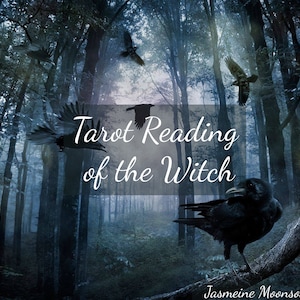 Tarot Reading of the Witch