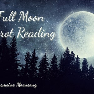 Full Moon Tarot Reading With Power Animal Oracle