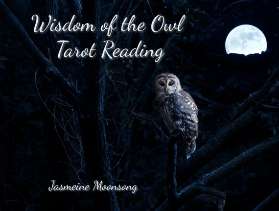 NEW!!!  Wisdom of the Owl Tarot Reading