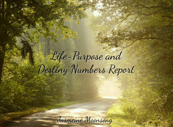 Life-Purpose and Destiny Numbers Report