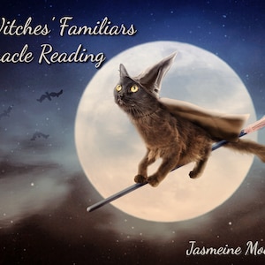 New!!! The Witch&#39;s Familiar Oracle Reading