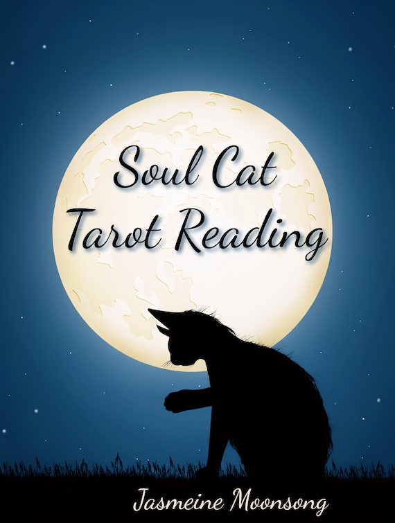 Soul Cat Tarot Reading (PDF Delivery Via E-mail)