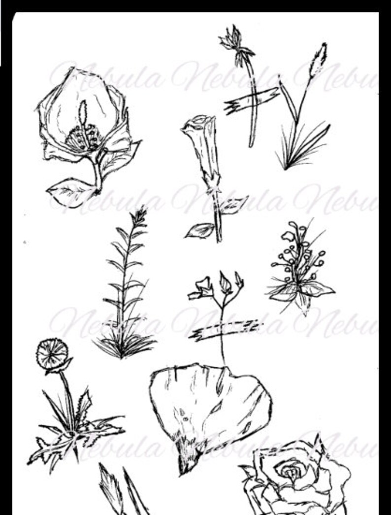 Plants/flower Stickers DIGITAL Download Stationery Etsy