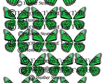 Green monarch butterfly wings