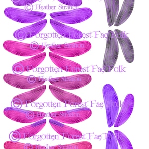 Double pink and purple fairy wing sheet