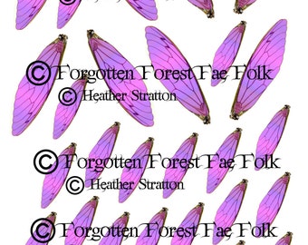 Assorted Pink Fairy wings
