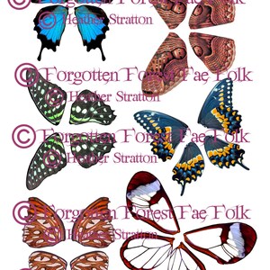 Assorted printable butterfly wings