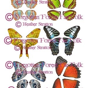 Assorted Printable Butterfly wings