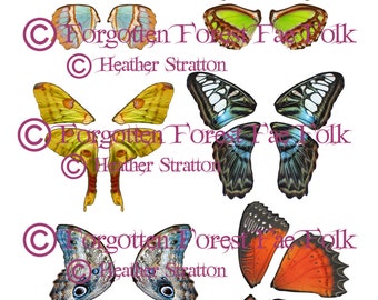 Assorted Printable Butterfly Wings | Etsy