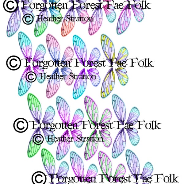 Assorted coloured double fairy wings