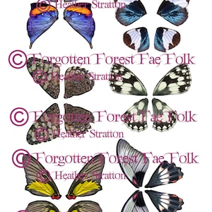 Assorted printable butterfly wings