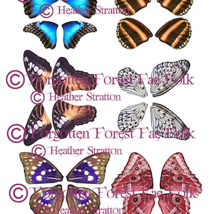 Assorted Printable butterfly wings