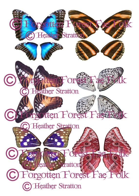Assorted Printable butterfly wings | Etsy