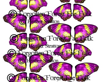 Pink & yellow butterfly wing sheet