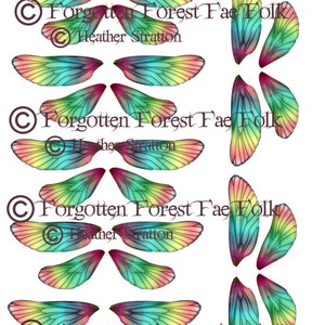 Rainbow fairy wings