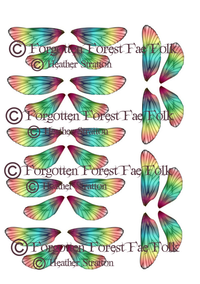 Rainbow fairy wings image 1