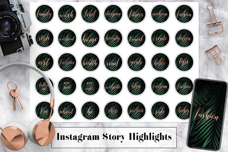 Instagram Story Highlight Template Instagram Highlight Covers Tropical Copper Text Icons Palm Leaves Instagram Icons