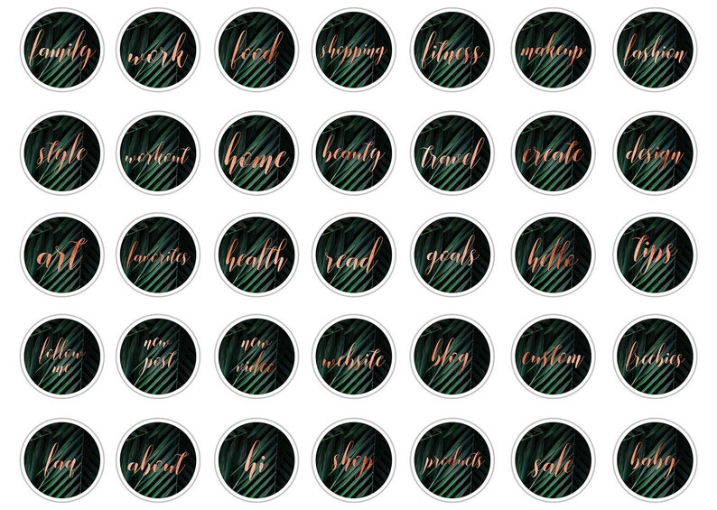 Instagram Story Highlight Template Instagram Highlight Covers Tropical Copper Text Icons Palm Leaves Instagram Icons