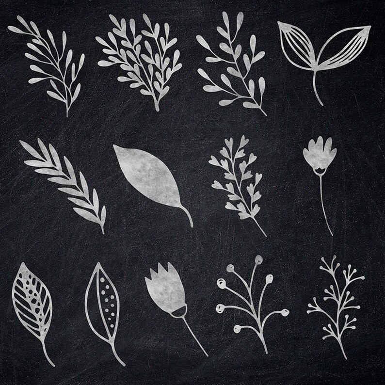 Chalkboard Plants Clipart Hand Drawn Doodles Leaves Etsy