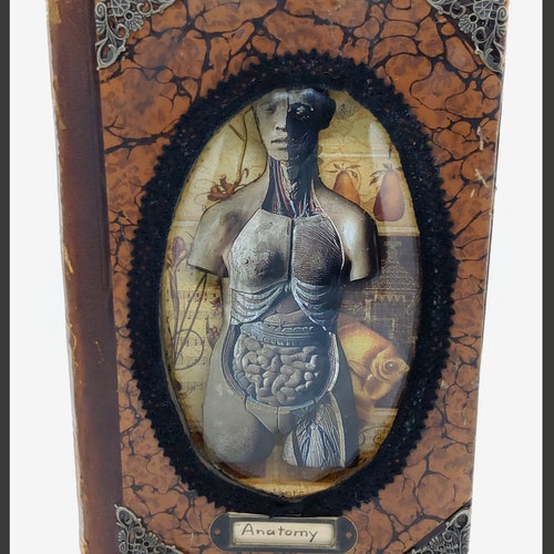 Shops Handmade mixed media art old book cover Anatomy 3D diorama shadowbox