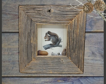 Handmade mixed media art Squirrel diorama shadowbox