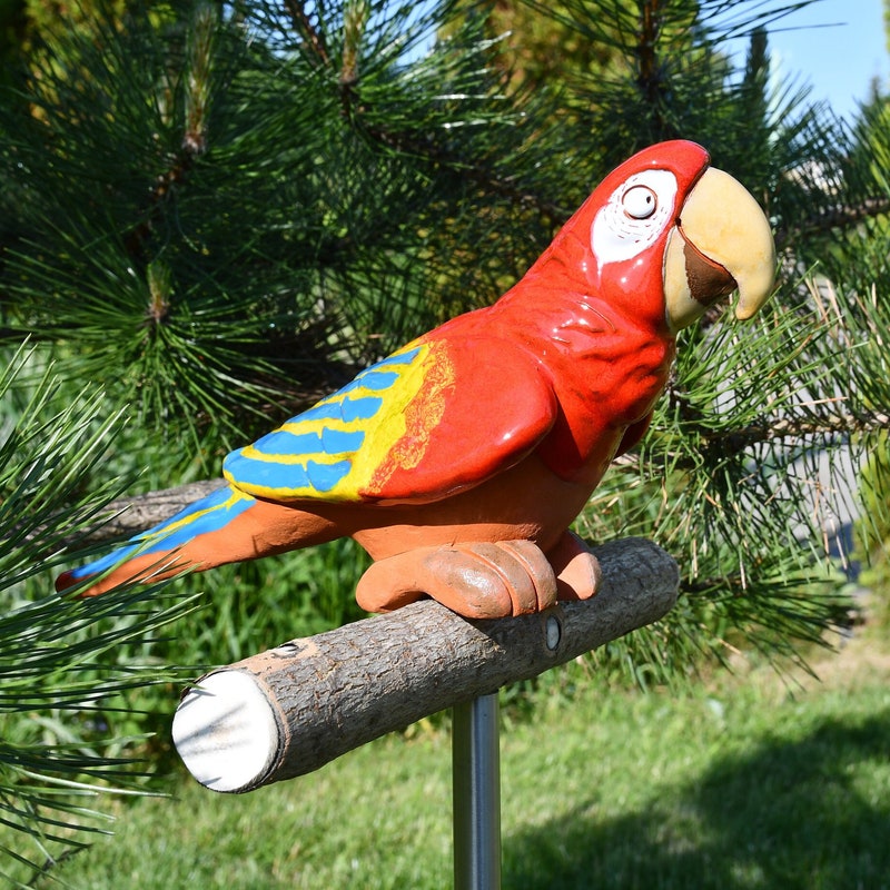Image showcasing Parrot Outdoor Decor - Etsy