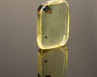 Genuine Baltic Amber Stone with Unique Inclusions – 16.5 g