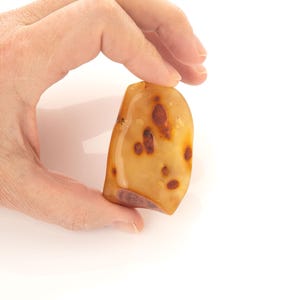 Natural Raw Baltic Amber Stone – Authentic 24g Gem for Jewelry, Crafting, or Collecting