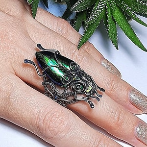 May include: A unique, handcrafted ring featuring a beetle design. The ring showcases a metallic green and black beetle body, accented with intricate wire detailing. The ring is a statement piece, perfect for adding a touch of nature-inspired artistry to any outfit.