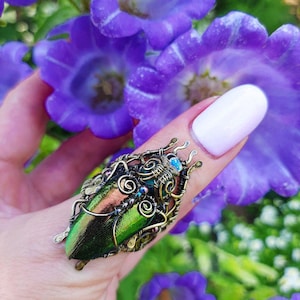 May include: A unique ring featuring a large, iridescent green beetle wing set in an ornate, antique brass-colored wire frame. The ring is adorned with small blue and clear crystals. The background includes purple flowers.
