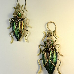 Pendientes de alas de escarabajo envueltos en alambre: latón, malaquita y ópalo