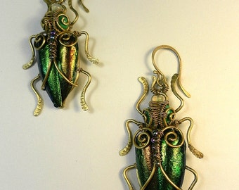 Wire Wrapped Beetle Wing Earrings: Brass, Malachite & Opal