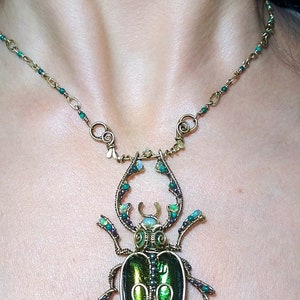 Beetle Pendant, wire wrap scarab jewelry, Insect jewelry. unique beetle pendant. scarab pendant, green scarab beetle, gift for her image 8