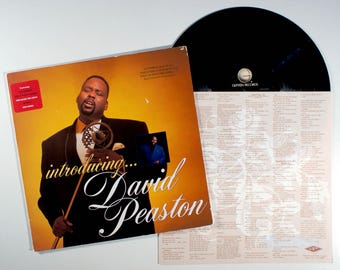 David Peaston – Introducing (1989) Vinyl-LP – Promo – We're All In This Together