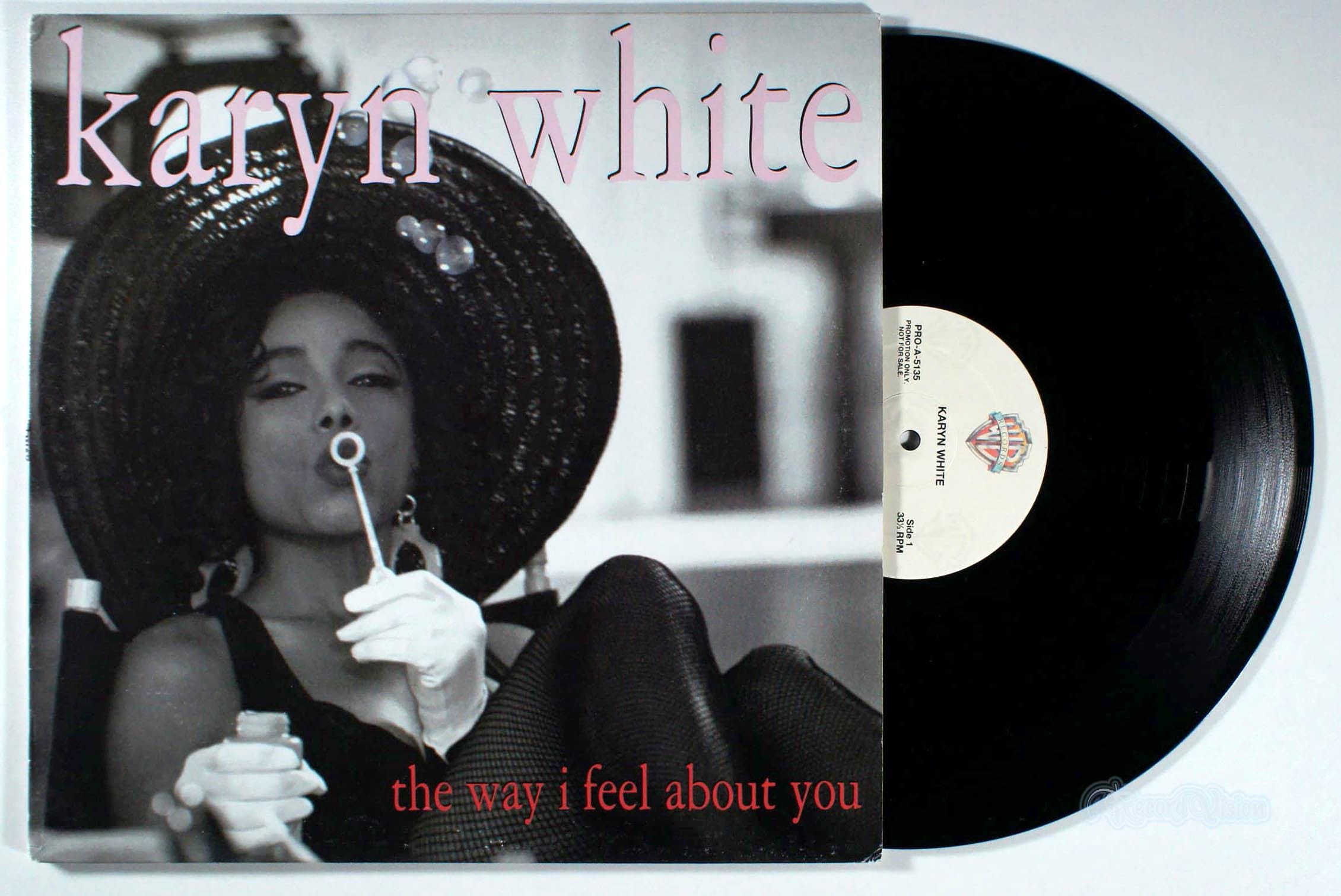 The Way I Feel About You Remix