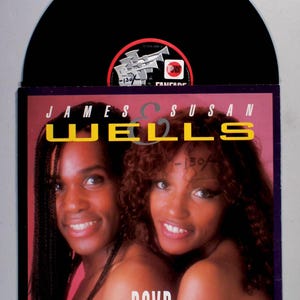 James and Susan Wells - RSVP (1984) Vinyl 12&quot; Single - IMPORT