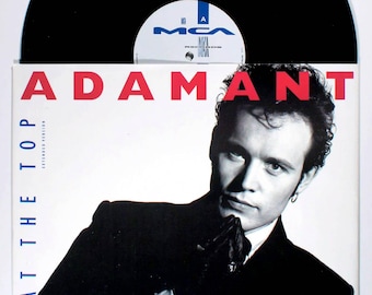 Adam Ant - Room at the Top (1990) Vinyl 12&quot; Single - IMPORT - Manners & Physique