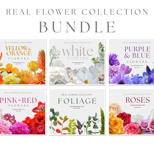 REAL Flower Clipart, Bundle, Flower PNG, White Flower, Rose clip art, Collage Element, Realistic, PNG flowers, Flower Arrangement
